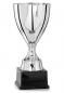 Preview: Pokal Gold/Silber