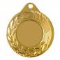 Preview: Medaille 45mm