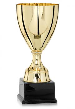 Pokal Gold/Silber