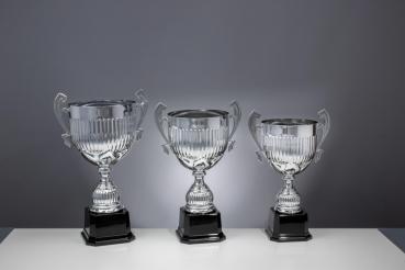 Henkelpokal Dobrina
