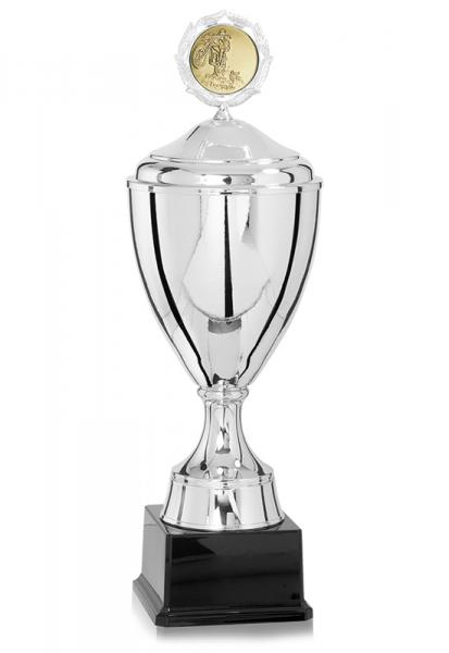 Pokal Gold/Silber