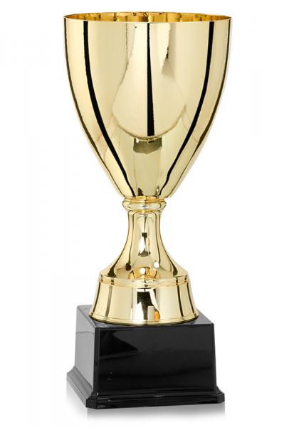 Pokal Gold/Silber