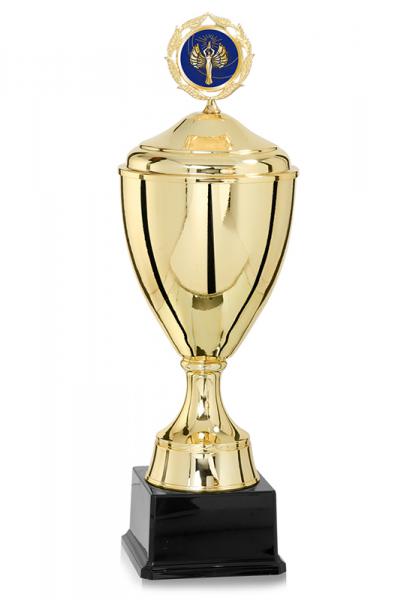 Pokal Gold/Silber