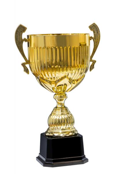 Henkelpokal Dobrina