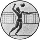 Emblem Volleyall