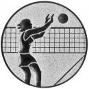 Emblem Volleyall